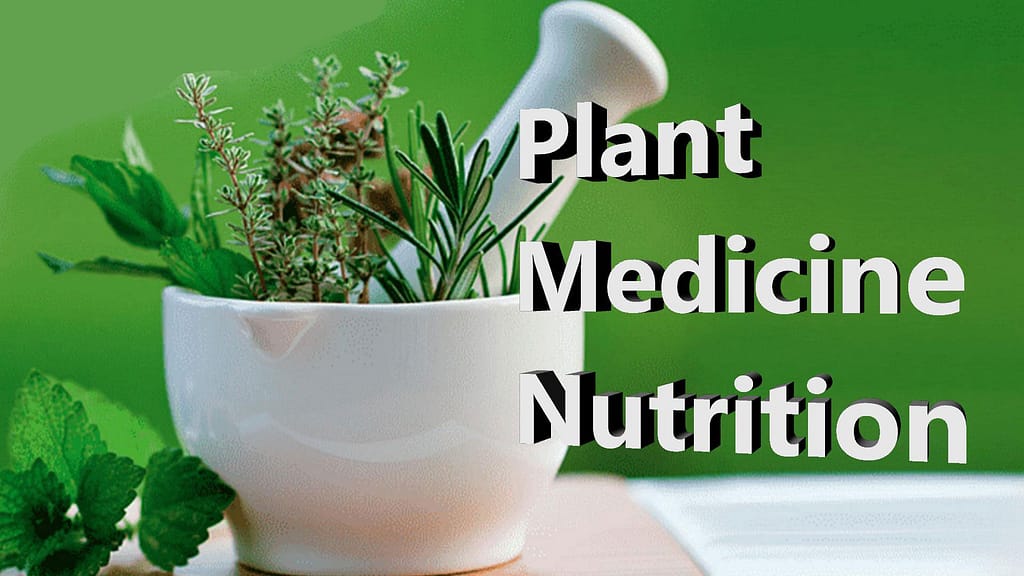 Plant Medicine Nutrition