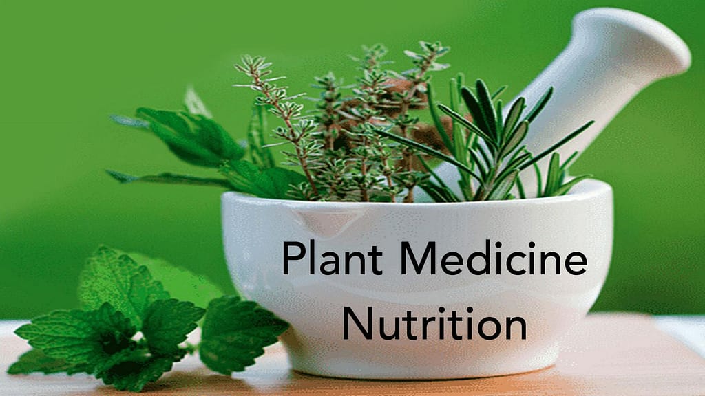 Plant Medicine Nutrition